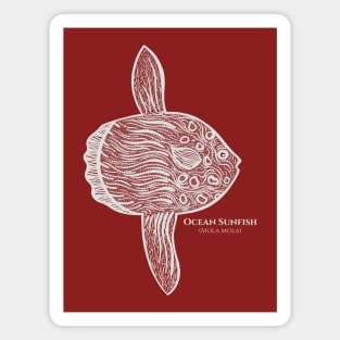 Ocean Sunfish or Mola with Common and Scientific Names - fish art Magnet